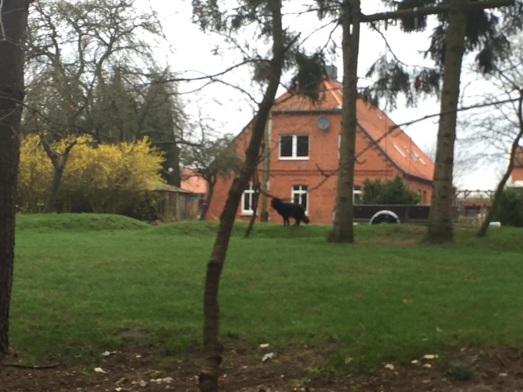 Ferienwohnung Garten Eben Rullstorf Luaran gambar